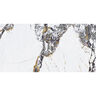 PORCELANATO ESMALTADO SUTTON VAGLI NATURAL MATE 49.75X99.55 CM