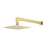 CABEZA Y BRAZO DE DUCHA PISCIS GOLD A PARED 26.9 LPM